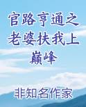 官路亨通之老婆扶我上巅峰