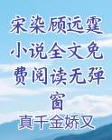 宋染青的全部小说
