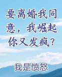 要离婚我同意，我崛起你又发疯？