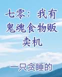 七零：我有鬼魂食物贩卖机