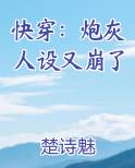 快穿炮灰人设又崩了金小左免费