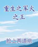 重生之军火之王