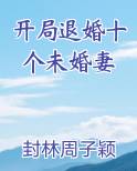 开局退婚十个未婚妻封林正版
