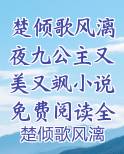 楚倾歌风漓夜主人公九公主