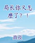 啊局长这里有人