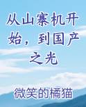 从山寨机开始，到国产之光