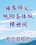 纯阳道士 小说