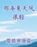 那年夏天风很轻