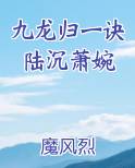 九龙归一诀陆沉笔趣阁